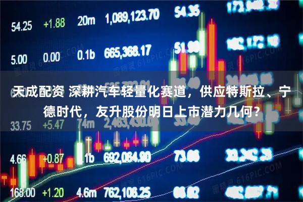 天成配资 深耕汽车轻量化赛道，供应特斯拉、宁德时代，友升股份明日上市潜力几何？