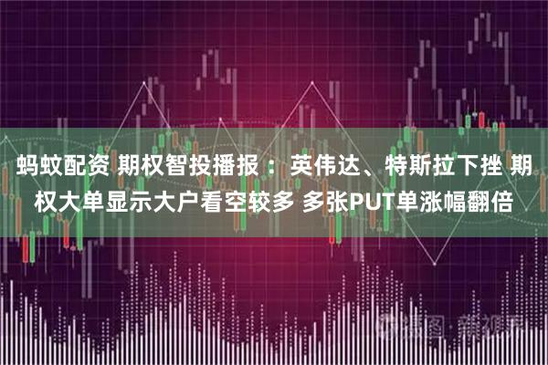 蚂蚊配资 期权智投播报 ：英伟达、特斯拉下挫 期权大单显示大户看空较多 多张PUT单涨幅翻倍